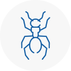 Ant Removals In North East Lincolnshire