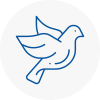 Bird Prevention North East Lincolnshire