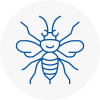 North East Lincolnshire Hornet Nest Removals