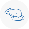 Rat Control North East Lincolnshire