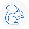 North East Lincolnshire Rodent Removals