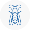North East Lincolnshire Wasp Nest Removal